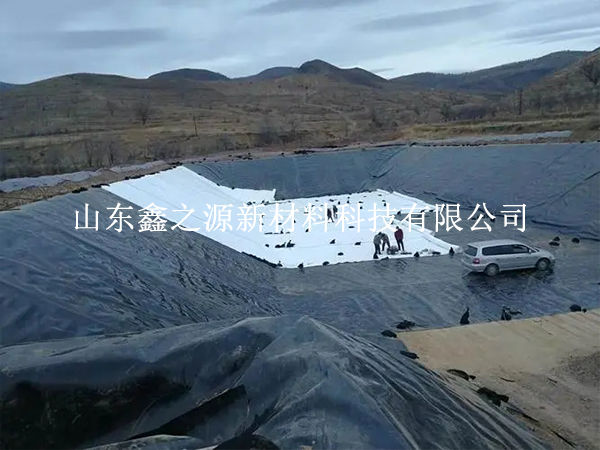 養(yǎng)殖防滲膜可提升魚(yú)蝦養(yǎng)殖質(zhì)量廣受關(guān)注 養(yǎng)殖防滲膜可提升魚(yú)蝦養(yǎng)殖質(zhì)量廣受關(guān)注